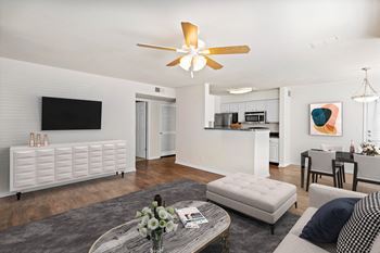 Ceiling fan(s)